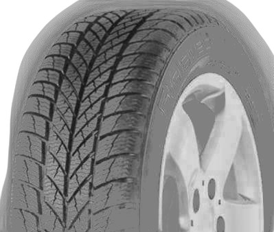 Gislaved Euro Frost 5