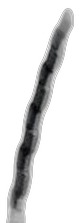 Hankook Winter RW06